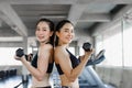 Group beautiful young woman posing at the camera in gym holding dumbbell during an exercise class in a gym. Royalty Free Stock Photo