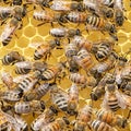A group of bees above the honeycomb. Royalty Free Stock Photo
