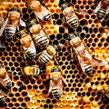 Bees busy with their honeycomb - ai generated image Royalty Free Stock Photo