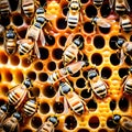Bees busy with their honeycomb - ai generated image Royalty Free Stock Photo
