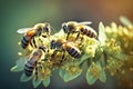 Group of bees on a flower. Honeybees harvesting pollen from blooming flowers. generative AI Royalty Free Stock Photo