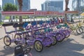 Group of bicycles in the row. Bycicle rent in Batumi Royalty Free Stock Photo