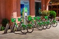 Group of bicycles in the row. Bycicle rent in Batumi, Georgia Royalty Free Stock Photo