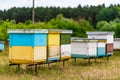 Group of big and small coloured beehives for bees on the forest background