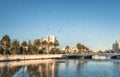 Group of birds flying over Estero river at sunset - Vina del Mar, Chile Royalty Free Stock Photo