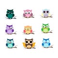 Group of birds. Owls night birds with big eyes. Colorful illustration Royalty Free Stock Photo