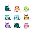 Group of birds. Owls night birds with big eyes. Colorful illustration