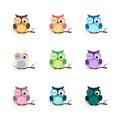 Group of birds. Owls night birds with big eyes. Colorful illustration