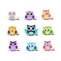 Group of birds. Owls night birds with big eyes. Colorful illustration