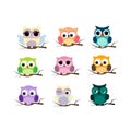 Group of birds. Owls night birds with big eyes. Colorful illustration