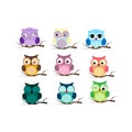 Group of birds. Owls night birds with big eyes. Colorful illustration