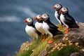 A group of birds perched on top of a rocky cliff, observing the vast expanse of the horizon, Puffins, identified as Fratercula