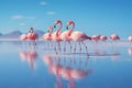 Group birds of pink african flamingos walking around the blue lagoon on a sunny day, Generated AI