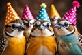 A Colorful Celebration: Birds with Party Hats Gather Together
