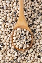 Group of black eyed or Cowpea beans Royalty Free Stock Photo