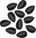 Group of Black sunflower seeds on white background Royalty Free Stock Photo