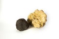Group of Black and White Truffle Still Life on white background Royalty Free Stock Photo