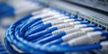 Close-up view of blue network cables connected to a switch in a data center during daylight work hours Royalty Free Stock Photo
