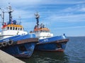 Group of blue tugs and pushers Royalty Free Stock Photo