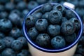 Group of blueberries in the cup on group of berry background close up picture Royalty Free Stock Photo