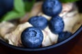 Group of blueberries on ice cream in dark bowl closeup