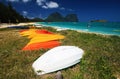 group of boats sitting on top of a beach with Lord Howe Island in the background in australia