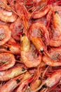 Group of boiled frozen wild shrimp with caviar cooked in sea water. Background of lot small aquatic crustaceans. Prawn -