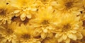 Group bouquet bloom blossom bright flower mockup close yellow floral up nature