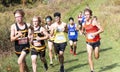 Group of boys racing downhill during a cross country 5K race at Bowdoin Park Royalty Free Stock Photo