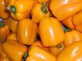 Bright, shiny, glossy yellow peppers