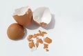 Group of broken egg shells on white background. Recycling kitchen waste for gardening.