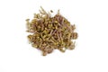Group of broken off sprouts of raw potato on white background