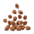 Group of brown acorns with caps falling on a white background Royalty Free Stock Photo