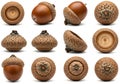 A group of brown acorns on a white background Royalty Free Stock Photo