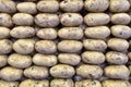 Group of brown fresh potatoes. Many fresh organic potatoes as a background. Royalty Free Stock Photo