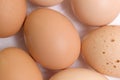 Brown Organic Raw Eggs on White Background Royalty Free Stock Photo