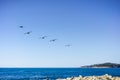 A group of brown pelicans flying close to the shoreline on a sunny day, Carmel-by-the-Sea, Monterey Peninsula, California Royalty Free Stock Photo