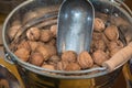 Group of Brown Walnuts With Peel in Silver Bucket