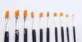 Brushes aligned to represent choices in art Royalty Free Stock Photo