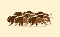 Group of buffalo running