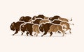 Group of buffalo running