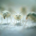 A group of bugs are standing on a white surface, AI Royalty Free Stock Photo