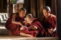 Group of Burmese young monks reading book in temple