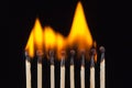 Group of burn and unburned matches, isolated on black background Royalty Free Stock Photo