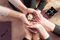 Group of business hands holding a fresh young sprout. Symbol of