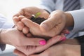 Group of business people holding earth with small green plant in their hands closeup