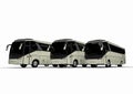 A group of busses representing a fleet