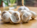 Garlic and mushroom Royalty Free Stock Photo