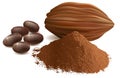 Cacao beans, with cacao powder