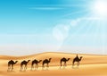 Group of Camels Caravan Riding